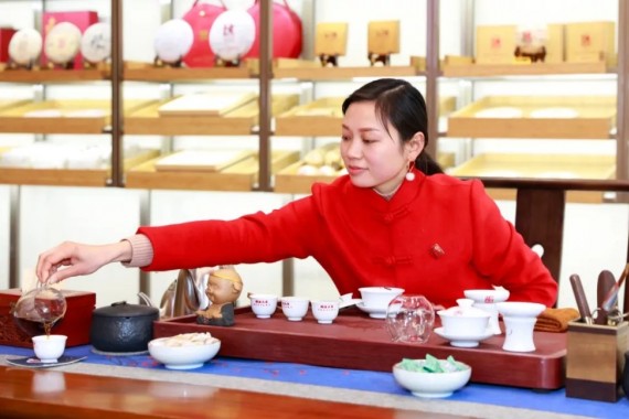 瀾滄古茶 ? 程力匯隆重試營(yíng)業(yè)